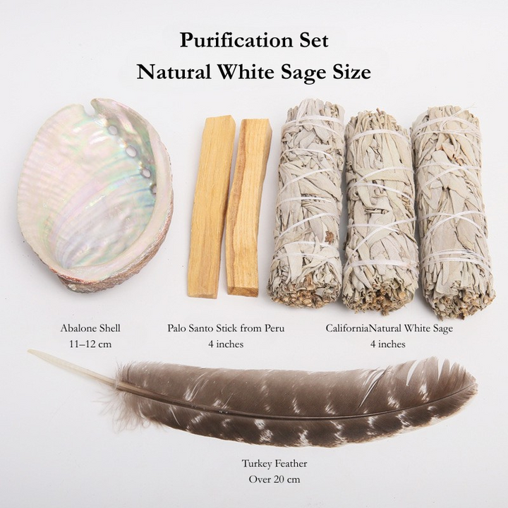 Crystal Purification Set, White Sage Purification Set with Turkey Feather and Abalone Shell